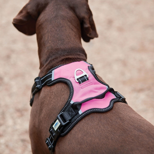 Weatherbeeta Anti Pull / Traveling Harness 1003617 - Pink